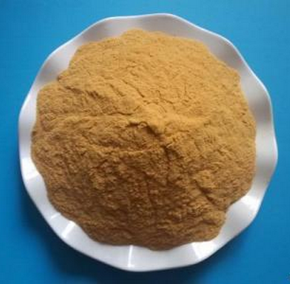 藥劑,污水,化學,污泥,離子